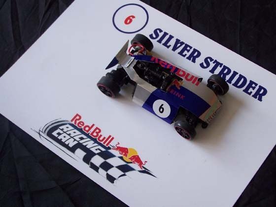 Will go on to compete in the Red Bull Racing Can National finals in Delhi on