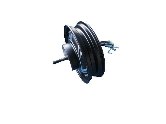 Electric hub motor Electric hub motor