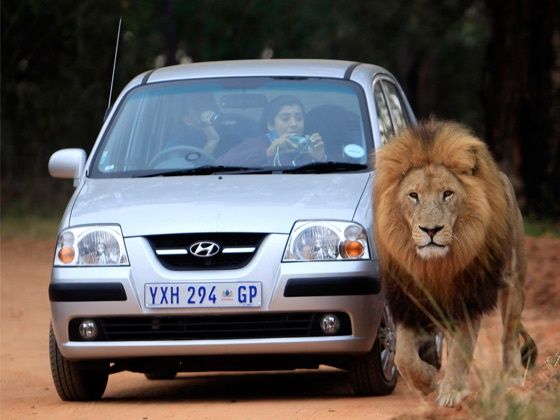 Africa Africa