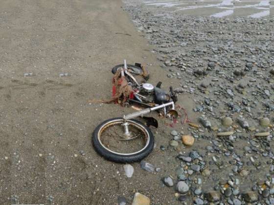 Harley Davidson Harley Davidson