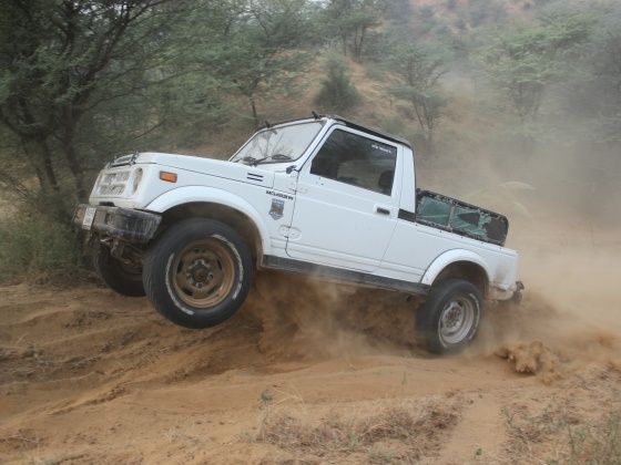 Maruti Gypsy King Terrain Tigers Maruti Gypsy King Terrain Tigers