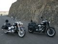 Harley Softail classic and Fatboy 