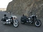 Harley Softail classic and Fatboy 