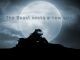 TVS Apache crosses 1 million sales figure TVS Apache teaser image