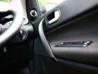 Ford Fiesta Classic Driver's Door Panel Detail