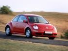 Grande Punto Beetle