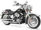 Harley Davidson FXD Harley Davidson FXD