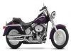 Harley-Davidson FLST: Body Shot