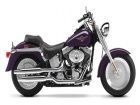 Harley-Davidson FLST: Body Shot