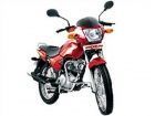 Pulsar Star City