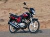 Yamaha YBR: Side Shot