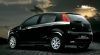 Fiat Punto Rear View