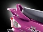 Mahindra Flyte Grab Rails
