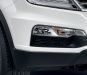 SsangYong Rexton W Front Fog Lamp