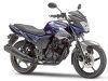 Yamaha SZ-RR Right Side View