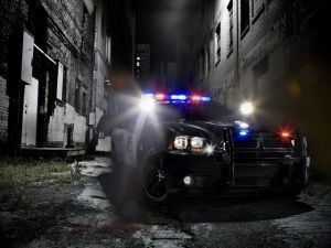 Police Cars Police Cars