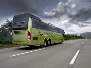 DC Luxuria Bus DC Luxuria Bus