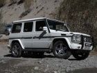 Mercedes-Benz Fascination Drive