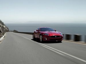jaguar jaguar